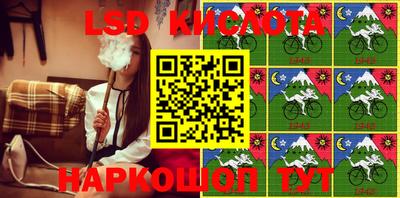 СК Краснознаменск