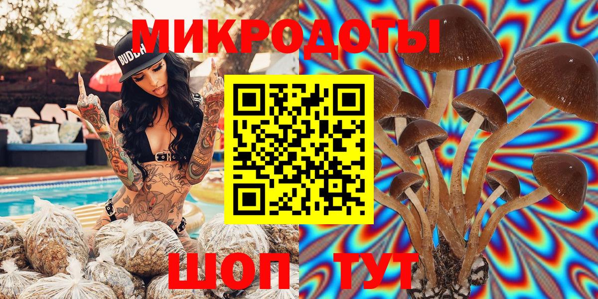 Галлюциногенные грибы Psilocybine cubensis Чистополь